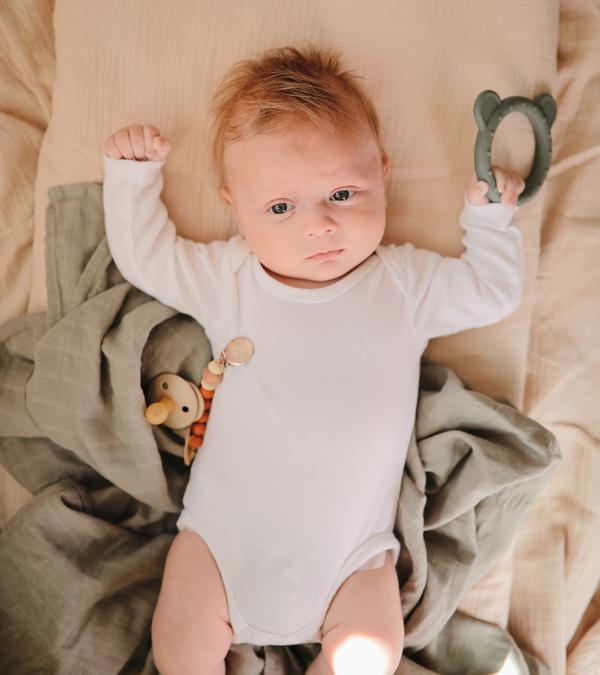 Bear Teether - Dried Thyme - Pudgy Fingers